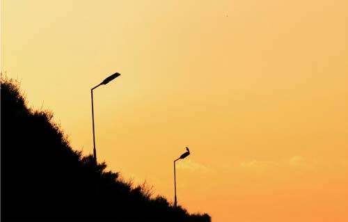 Street Light Titanium B1 Toshiba street light provides a high quality lighting and long lifespan solution