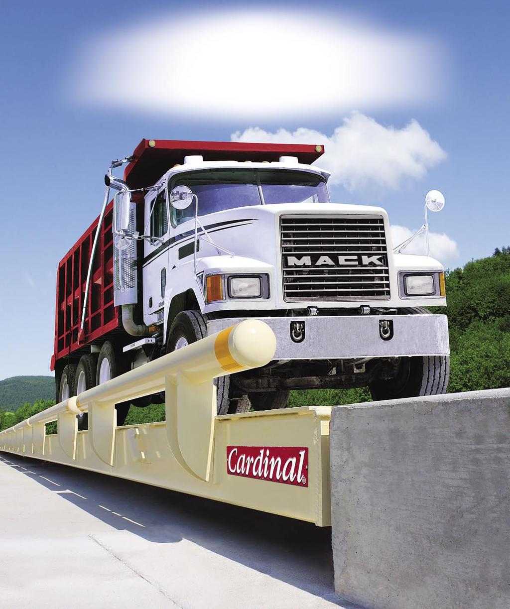 Cardinal Scale 13570-EPR electronic truck