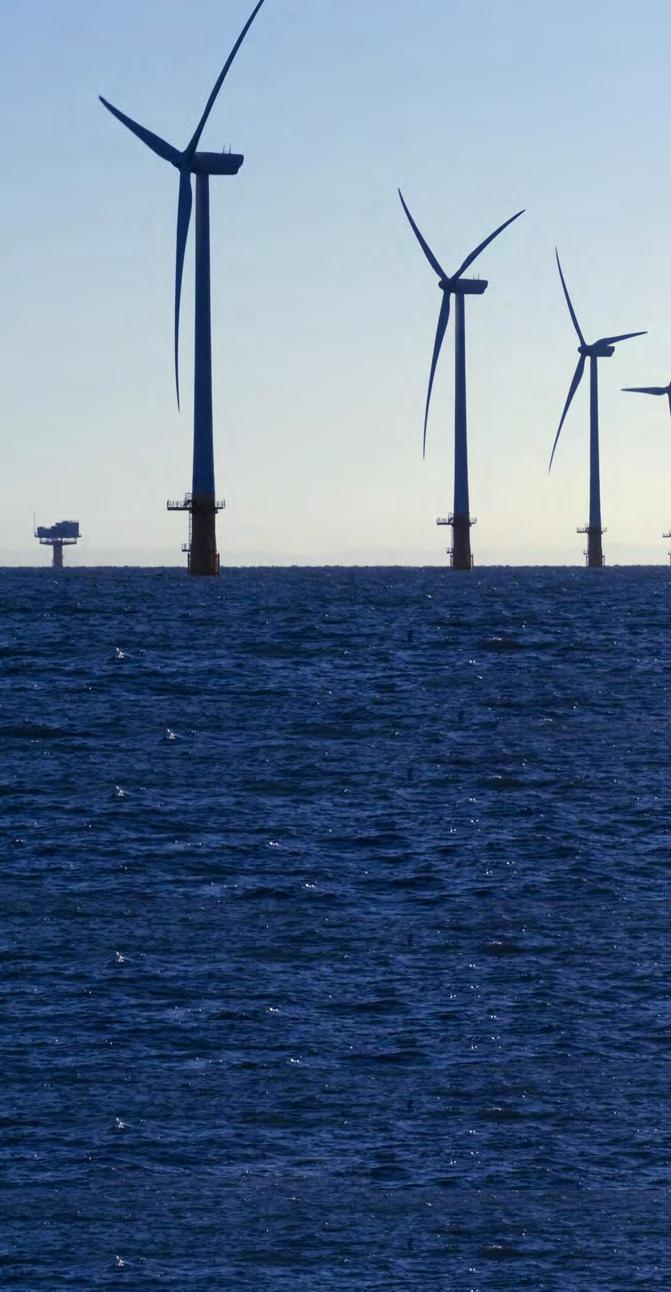 Competing Issues From detailed tidal flow studies, Wind Farm Field development owners know that their Sub Station (SS) and Wind Turbine Generator (WTG) foundation piles may be subjected to scour