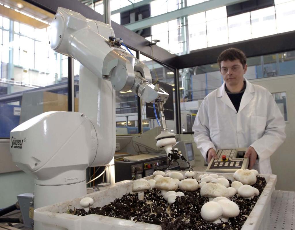Warwick UK Robotic Mushroom Picker Salah