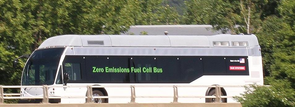 Zero Emission buses are in