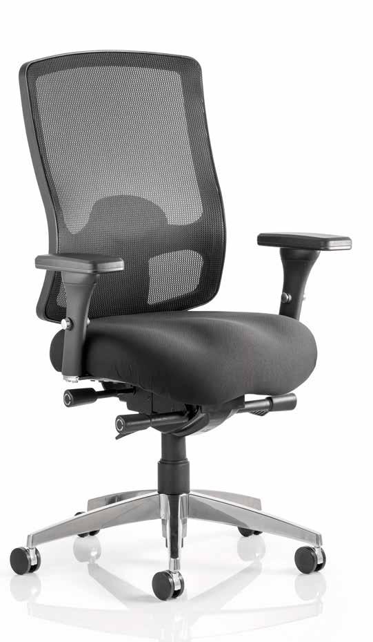 Regent The regent is ergonomically designed and has a luxurious cold cure foam seat that provides a pleasant seating experience for the most demanding