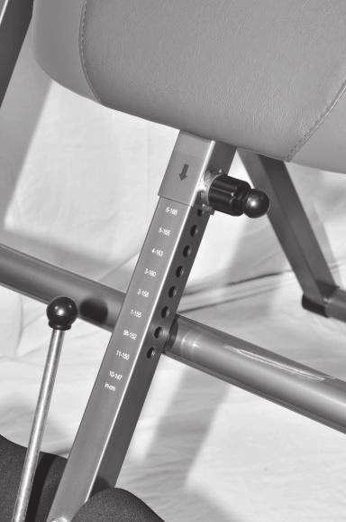 USAGE GUIDELINES INVERSION SELECTOR PIN Familiarize yourself with the Inversion Safe T Bar located on the Back of the Inversion Table Frame.