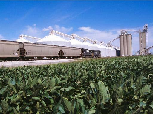 soybeans Extensive Ag network for domestic and