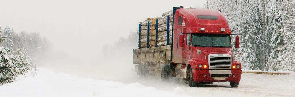 Diesel Fuel Treatments and Cleaners Winter Blend - Diesel Fuel Treatment 2030 s Utilizes HAFI, a hybrid polymer technology to: Prevent wax crystal formation Prevent fuel gelling Reduces cold filter
