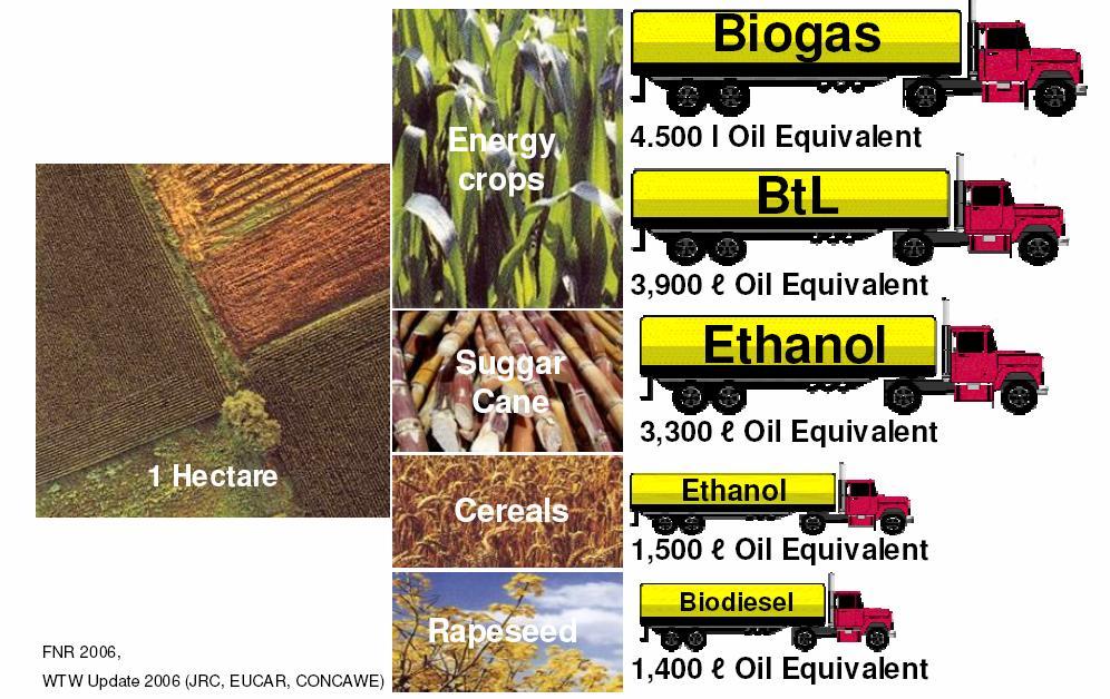 Biogas production potential Among the