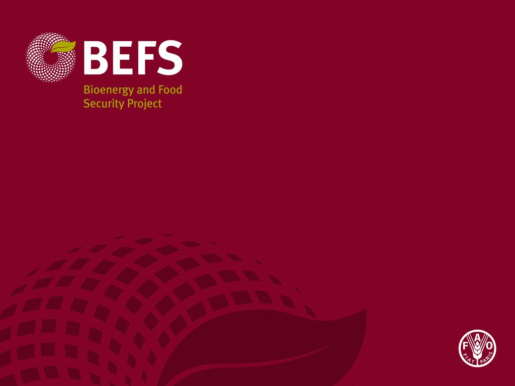 BEFS Module 2 - Technoeconomic analysis on the production of biofuels Rommert Schram & Oscar