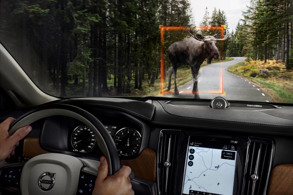 City Safety Technology Large Animal Detection Avoiding or mitigating collisions with large animals Our 90 Series cars come with a comprehensive standard collision avoidance package, City Safety, also
