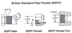 British Connections British Standard Pipe Parallel Popular couplings British Standard Pipe (BSP) threads, also known as Whitworth threads.