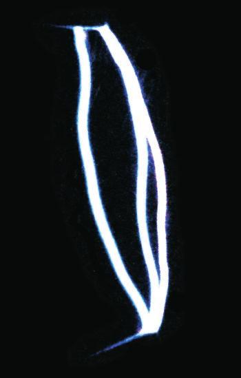 An electronic coil under test (tester arms at maximum gap). The spark produced by the electronic coil has lines which are very blue and very thick.