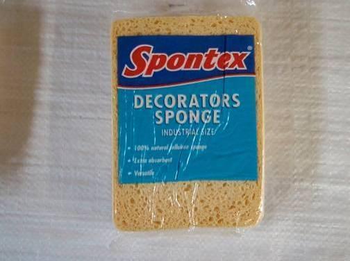 Sponge Dec.