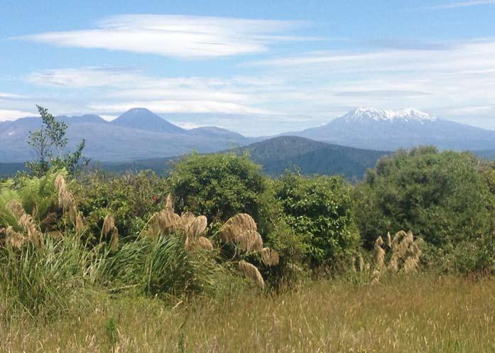 Here are views of Mount Ngauruhoe at left