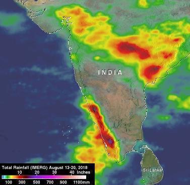 Recent floods in India hit major pepper growing areas; Overall