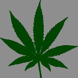 Medical Marijuana DOT