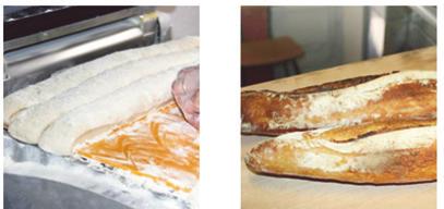 Robotrad Hydraulic dough divider with grill Also available as Automatic or Variomatic (details on page 10-11)