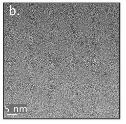 Colloidal nanoparticles Ru-NPs