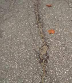 Note: Alligator cracks within 24" of the pavement edge are scored as edge cracks, not alligator cracks.