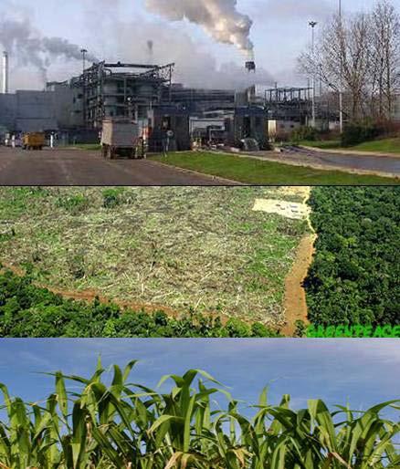 There are better and worse ways of producing biofuels for crop-based feedstocks British Sugar Wissingham Ethanol from sugar beat c60%