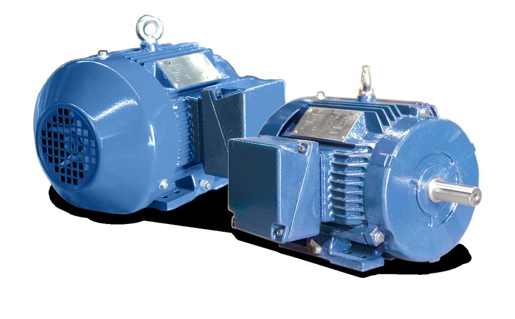 NEMA PREMIUM EFFICIENCY T-FRAME MOTORS Latest technologies, highest quality Available from 1hp to 300 hp, Aurora NEMA Premium Efficiency T-Frame Motors are three-phase induction, TEFC (Totally