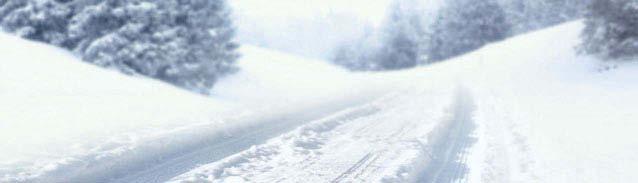 Cars all-weather Cars winter Van winter PLATIN RP 100 ALLSEASON PLATIN RP 60 WINTER PLATIN RP