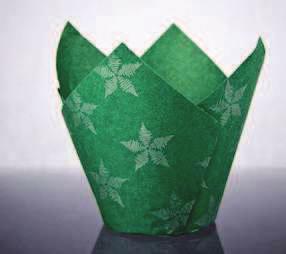 HOLIDAY SEASON 2015 Holiday Season will be never the same TULIP CUP 1- Tulip Cup -