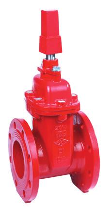 XZ41X Flanged Resilient OS&Y Gate Valve, Type A Page 11 XZ41XB Flanged Resilient OS&Y Gate Valve, Type B Page 12 XZ81X Grooved Resilient