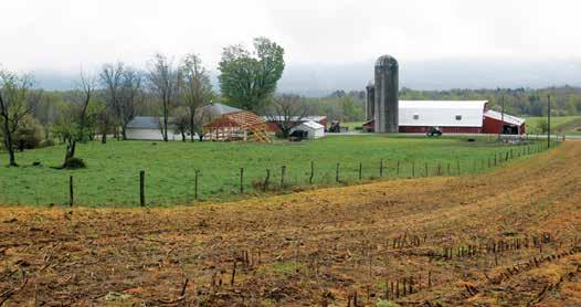 CASE IH OWNER PROFILE SMALL AND SIMPLE A NEW YORK DAIRY TAKES A LOW-OVERHEAD APPROACH TO PROFITABILITY In an era when farming is all about economies of scale, Dennis Emke and his wife, Lorrie, have