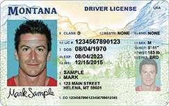 Chapter 1 - The Driver License Most drivers who get into trouble while driving a vehicle don t understand their license or legal responsibilities.