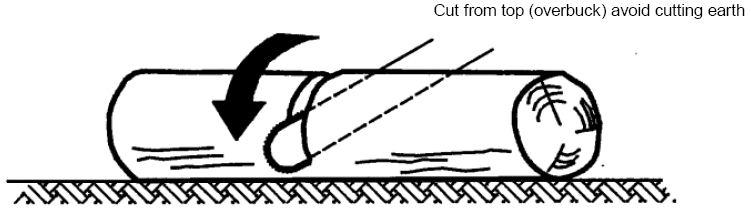 Figure BB.101-Description of felling: escape routes Figure BB.