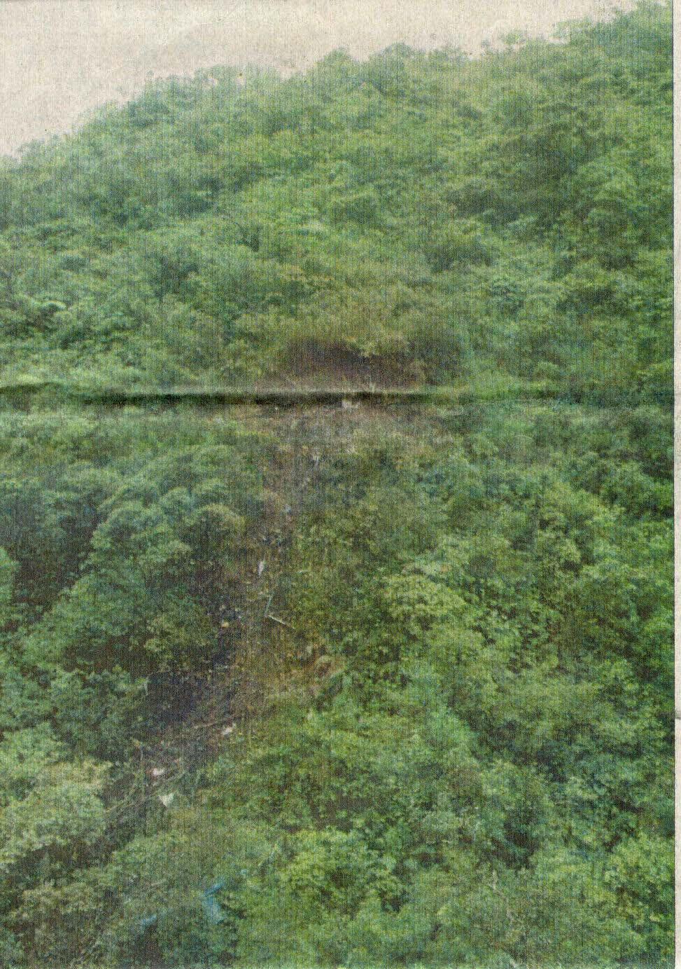 This photo is the crash site, the arrow at the top points what is the helicopters initial point of impact.
