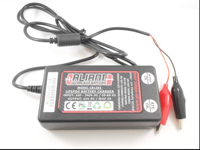 LIFEPO4 BATTERY CHARGER CB1203 3 Amp charger / Xtra Small Compact and inexpensive battery charger!