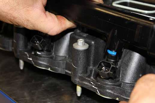Remove the injectors form the manifold or fuel rail as some may stick in the rail during removal. f. Lubricate injector orings and install in manifold.
