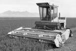 While many things have changed on Speedrower windrowers during their history of more than 50 years, one thing has not their proven record of reliability and performance.