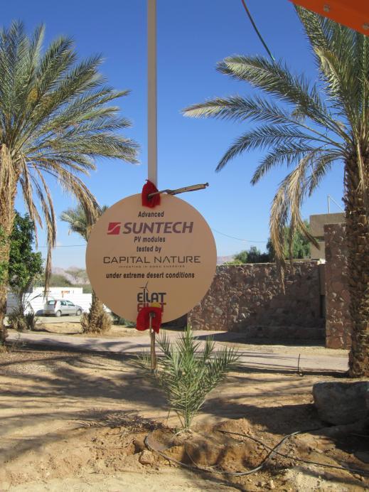 Suntech s State-of-the-art Testing Facilities 10 Suntech s test