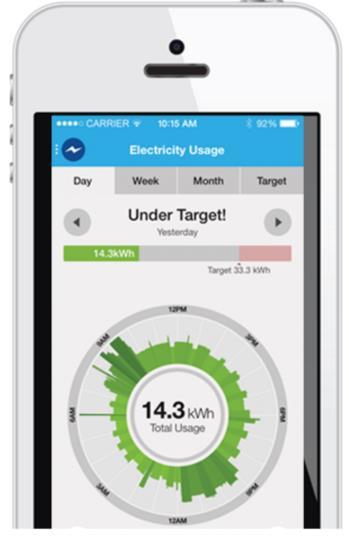 Case Study - DTE Daily Electrical Usage A view of the daily electricity usage of your home and the energy consumption patterns of your family. Ways to Save!