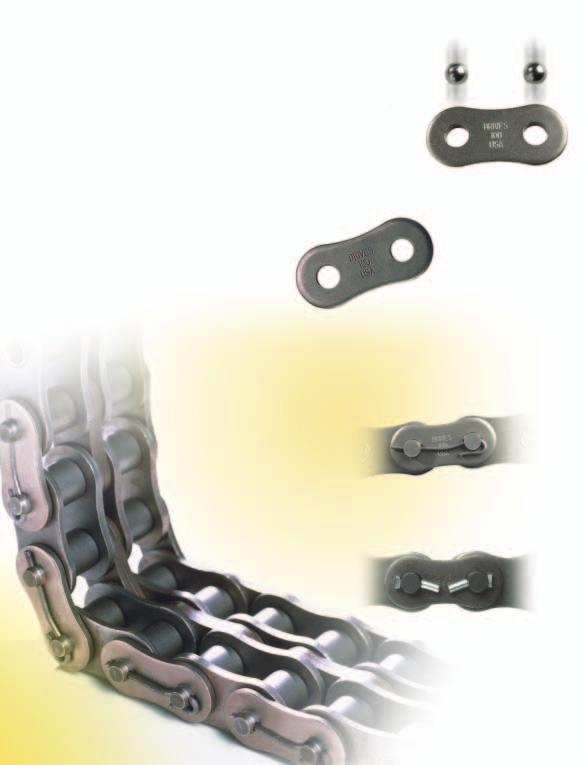30 100 years...of advanced engineering knowledge and experience adds up to some of the best made roller chain ever produced for the energy industry. Drives, Inc. chains are built to B29.