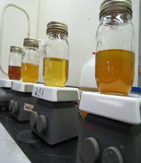 Objectives 1. Use two different distillation techniques (standard vs solar) for the recovery of methanol from waste glycerol generated from biodiesel production 2.