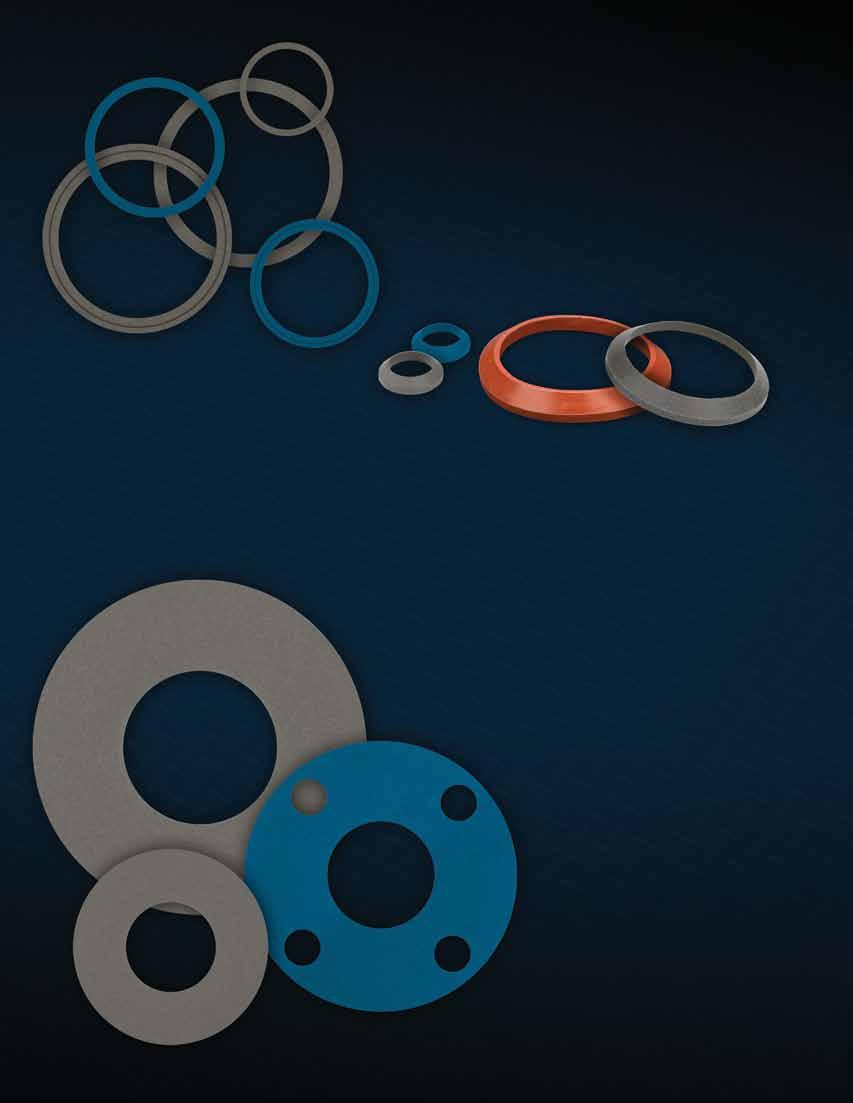The Tuf-Steel I-Line, John Perry and Bevel Seat gaskets are designed for use in sanitary processing pipeline systems for Pharmaceutical, Biopharmaceutical, Food & Beverage, Dairy and Industrial