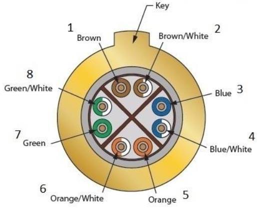 Step 6: Loading Contacts into Insulator for Pin Contact Part Number 858-003-02 Identify the wire colors (See below for recommended color code as shown in Figure