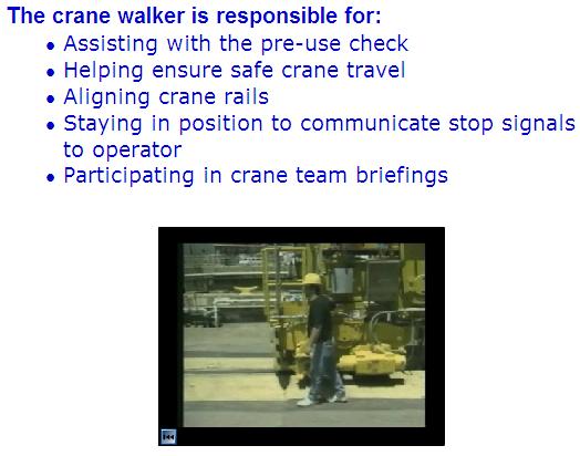 Crane Walker Responsibility Often a crane supervisor will assign a crane walker to the crane team.
