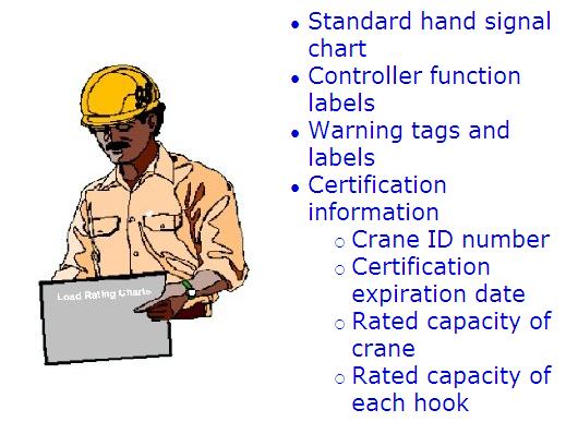 working near overhead power lines, identify safe operating procedures, and state securing procedures for cranes.