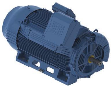 www.pamensky.com 101 W50 Medium Voltage Motors TEFC Standard Features Rated output: 175HP to 1900HP Number of poles: 2 to 12 Frame sizes: 5009/10 to 7008/09 Frequency: 50 Hz to 60 Hz Voltage: 1.