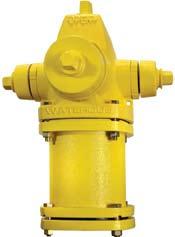 D-1 Waterous Pacer WB-67-250 D Pacer s Exceptional Features Many years of experience have taught Waterous what customers want in a hydrant. They have applied this knowledge into the Pacer design.