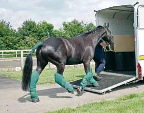 Loading and preparation for travelling Even horses without competitive careers may need to travel, as a horse may need to be taken to a vet for emergency treatment, or an owner s circumstances may
