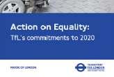 Gender Equality Scheme Action Plan (2007-2010) as a requirement of the Equality Act 2006 Key elements: - Commitment to the adoption of