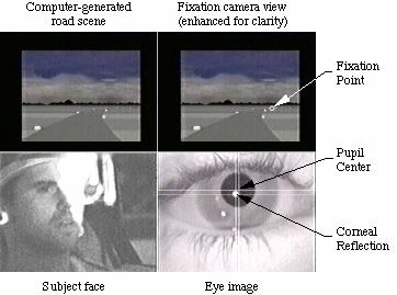 Chapter 6. Driver Workload / Eye Fixation Simulation Driver facial expressions and head position were recorded by a small hidden camera facing the subject.