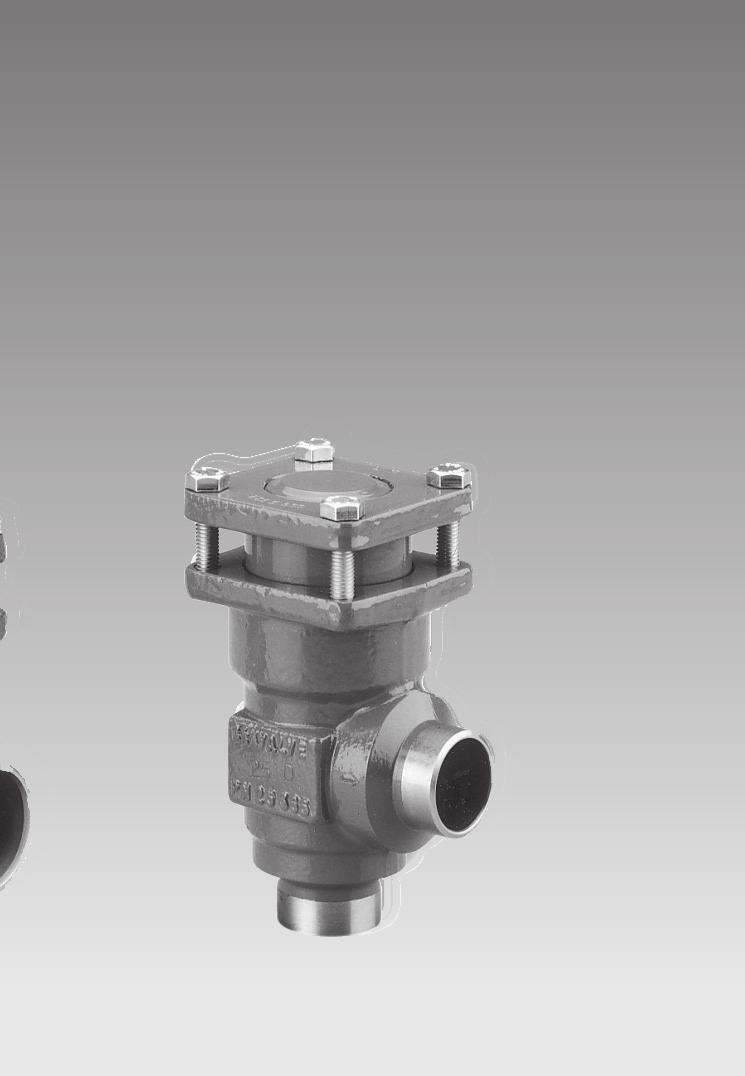 Check valves type
