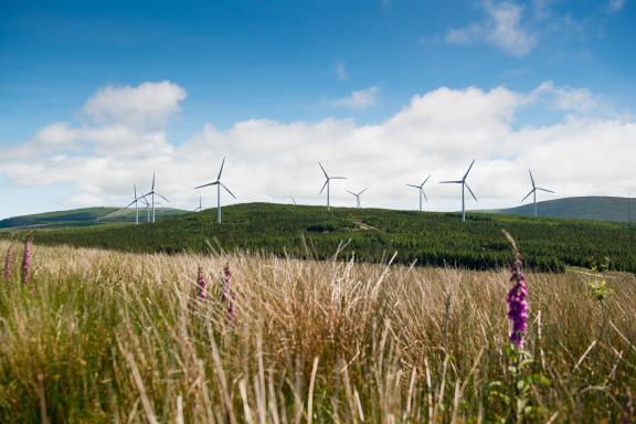 Brookfield Renewable Ireland Response to Review of Connection and Grid Access Policy: