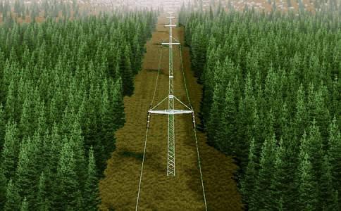 forests require cables
