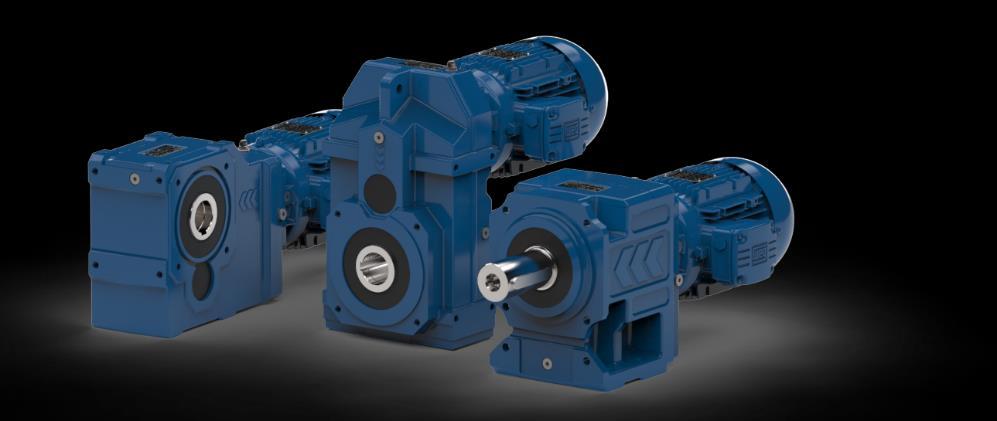 Global Supply Strategy Geared motors and gear